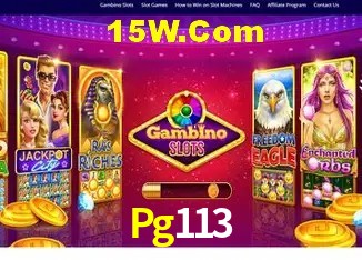 Promoção Relâmpago Pg113